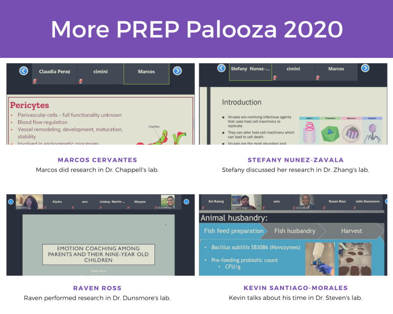 More PREP Palooza 2020